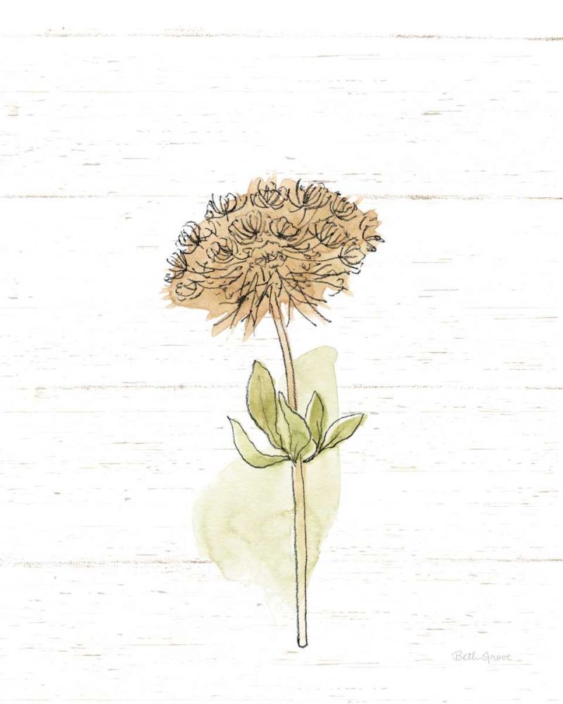 Flowers in Autumn art print by Beth Grove for $57.95 CAD