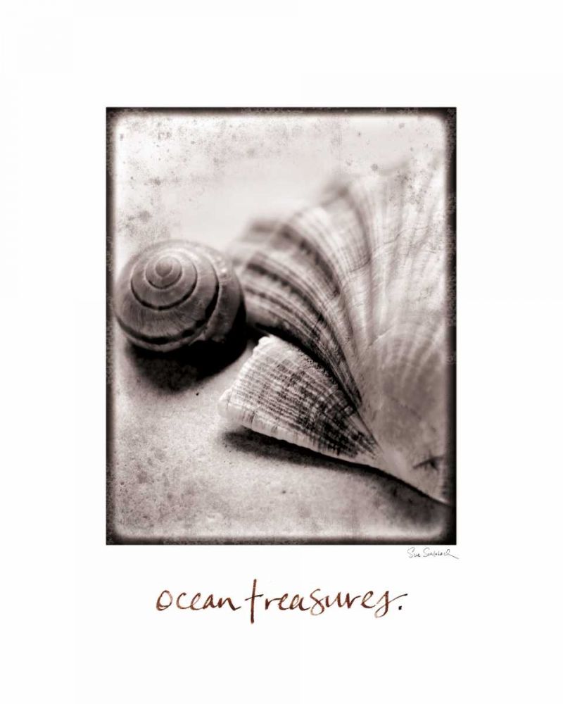 Ocean Treasures art print by Sue Schlabach for $57.95 CAD