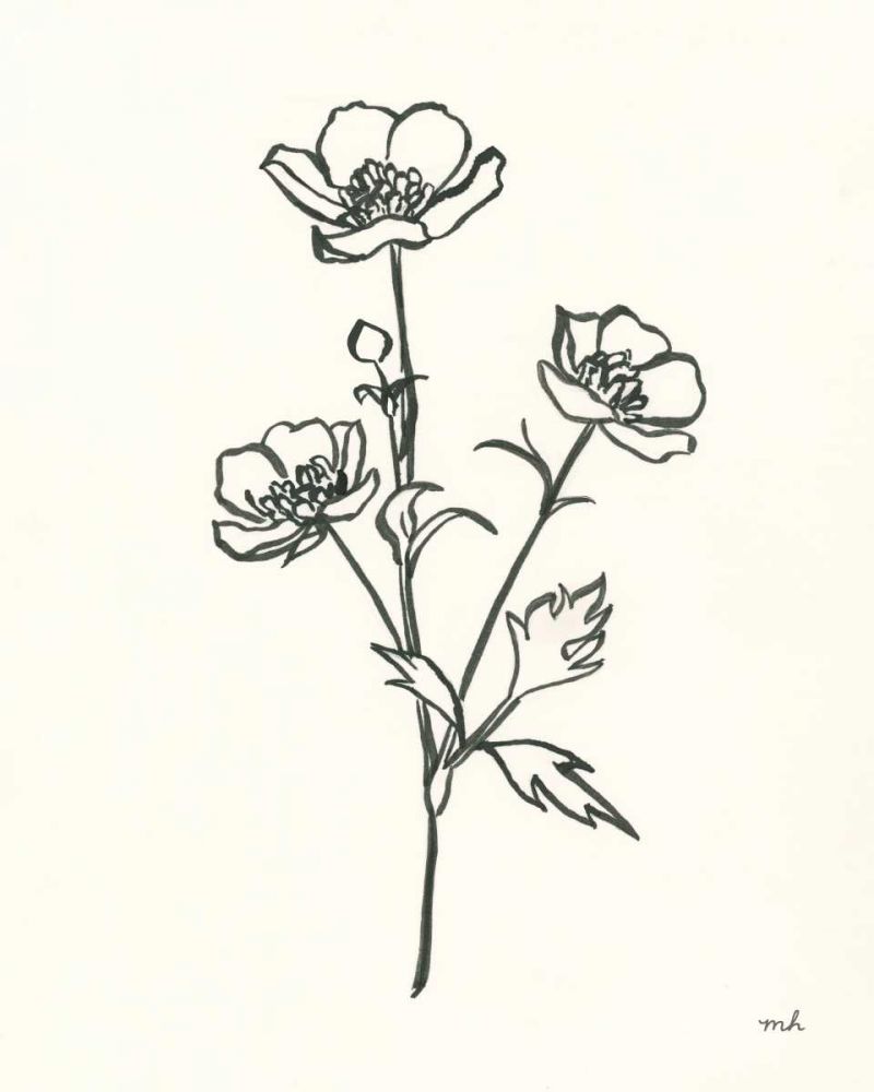 Buttercup art print by Moira Hershey for $57.95 CAD