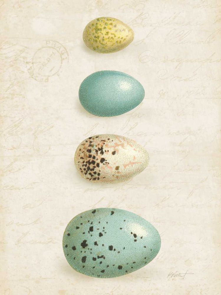 Bird Eggs II Crop art print by Katie Pertiet for $57.95 CAD