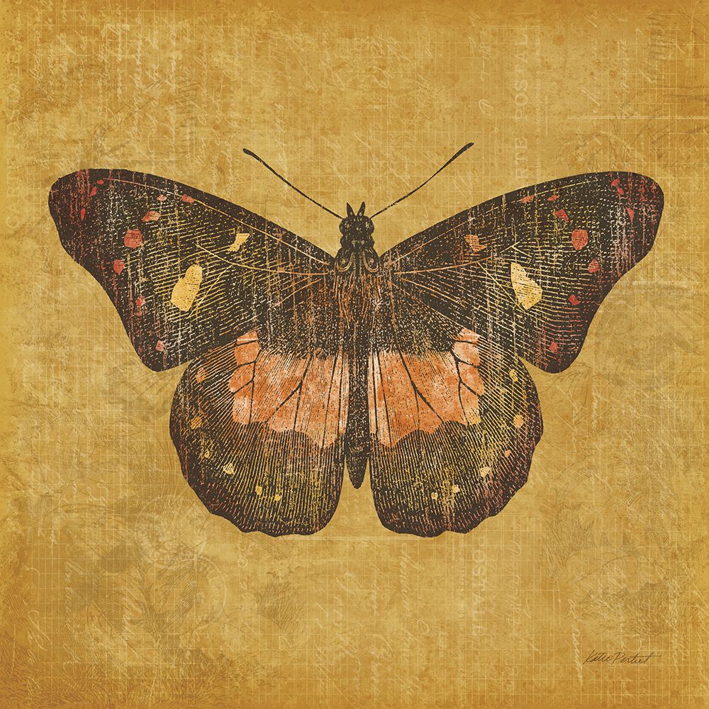 Ochre Butterfly art print by Katie Pertiet for $57.95 CAD
