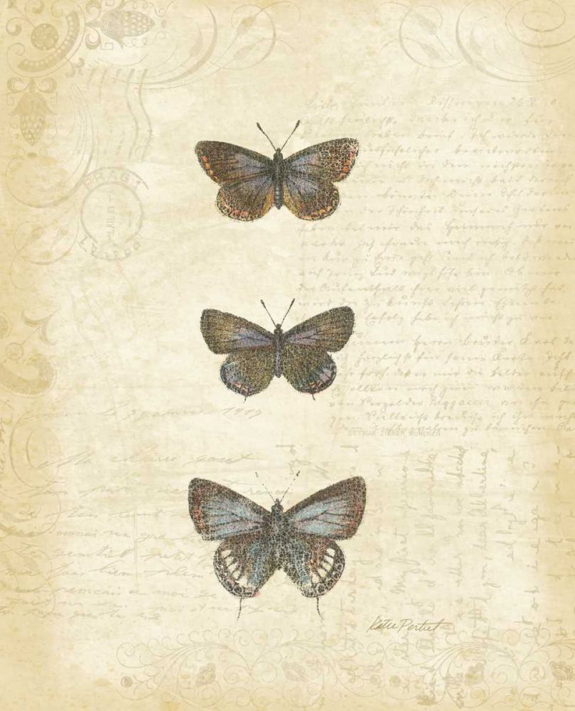 Botanical Butterflies II art print by Katie Pertiet for $57.95 CAD