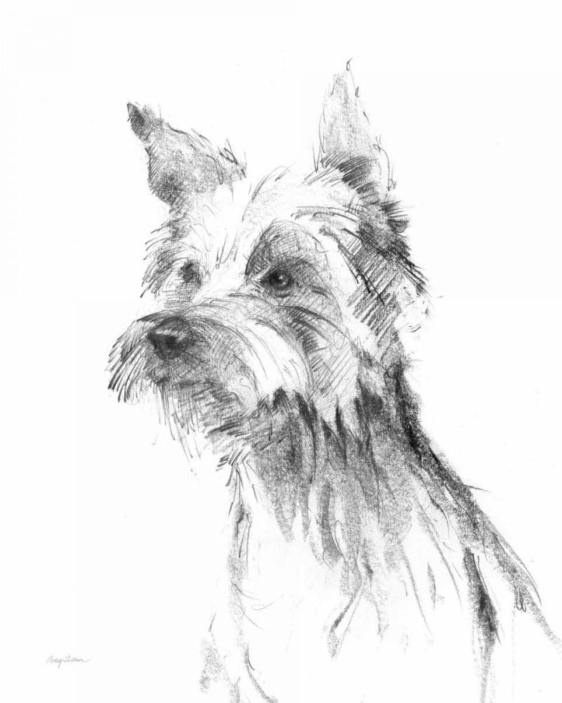 Yorkshire Terrier Sketch art print by Avery Tillmon for $57.95 CAD