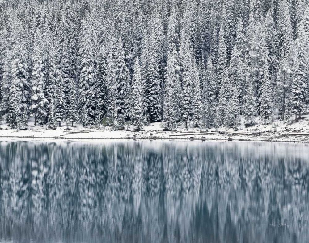 Winter Reflections art print by Alan Majchrowicz for $57.95 CAD