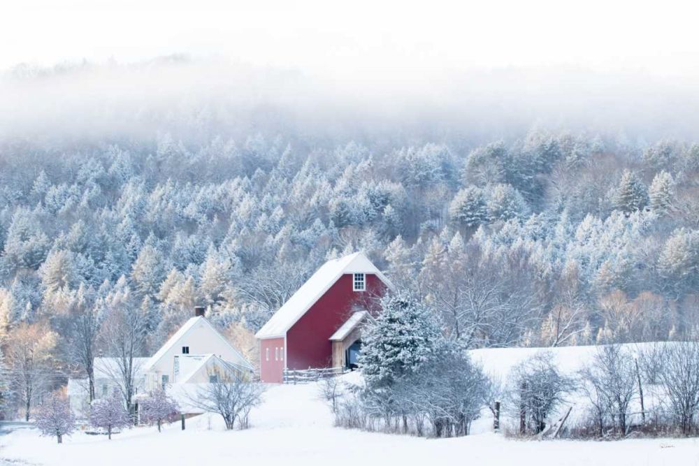 Snowy Valley art print by Sue Schlabach for $57.95 CAD