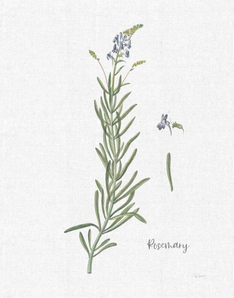 Cottage Herbs I Linen art print by Sue Schlabach for $57.95 CAD