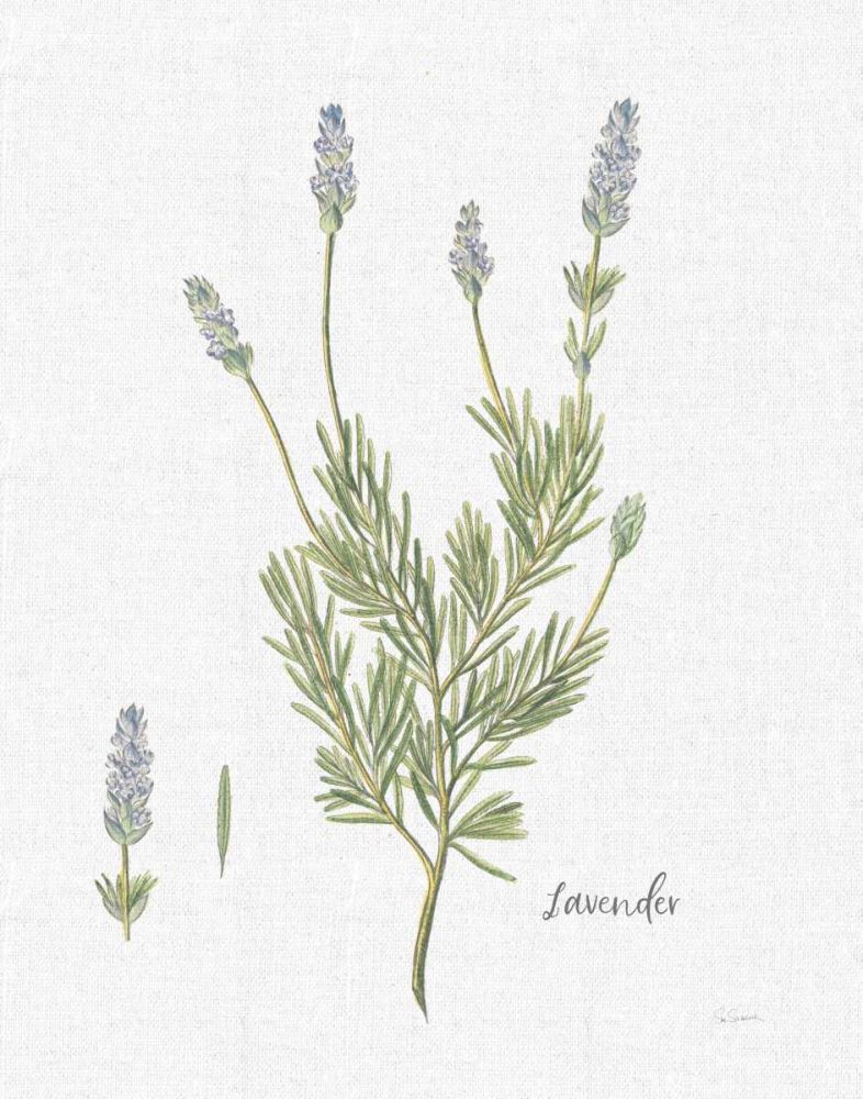 Cottage Herbs II Linen art print by Sue Schlabach for $57.95 CAD