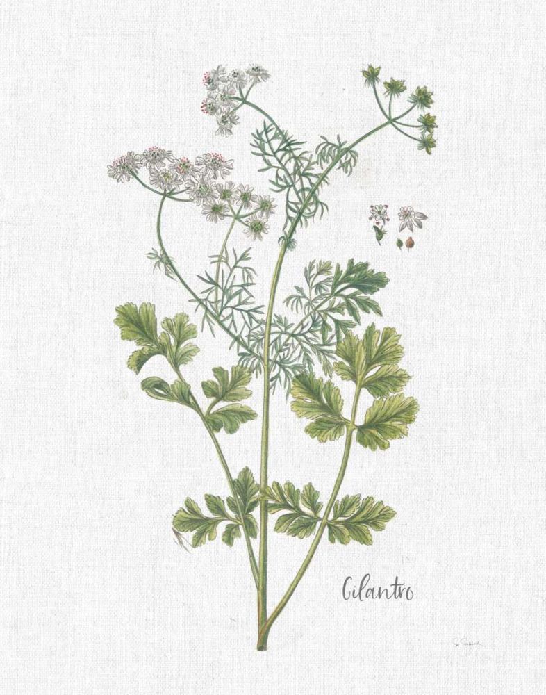 Cottage Herbs III Linen art print by Sue Schlabach for $57.95 CAD