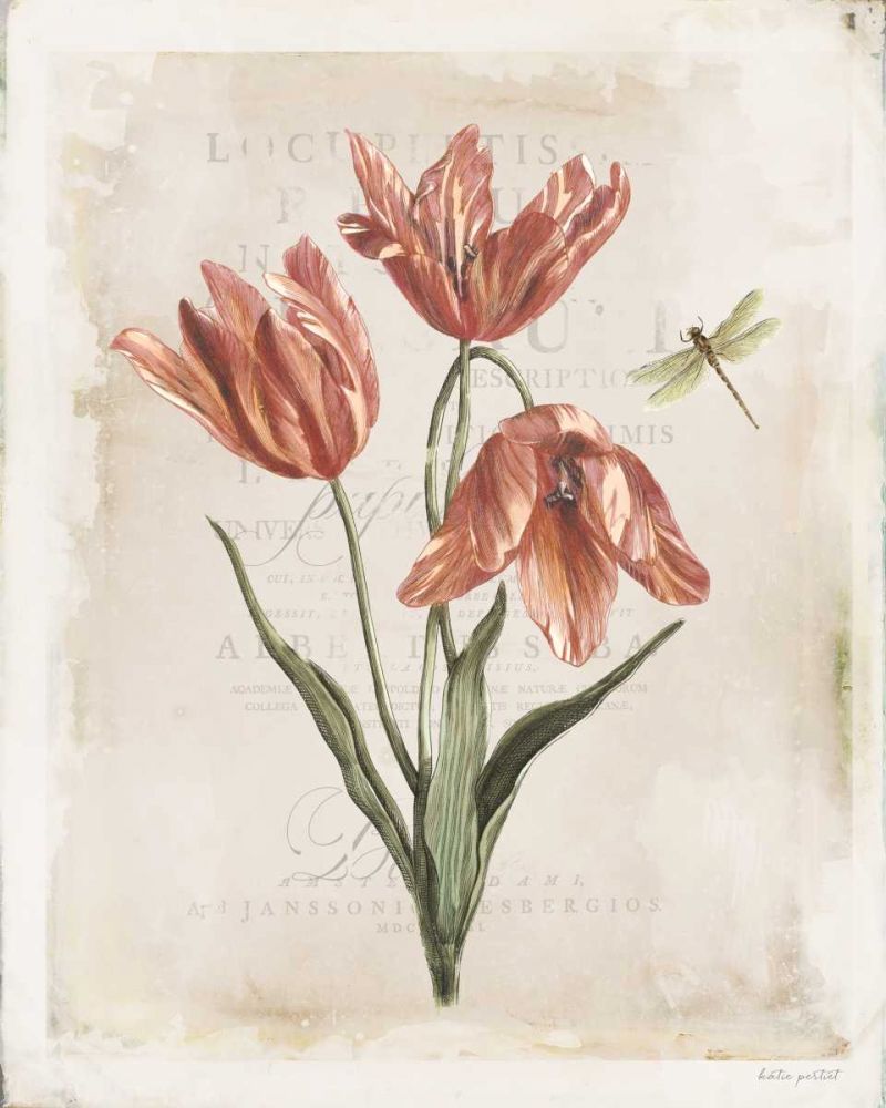 Antiquarian Blooms III art print by Katie Pertiet for $57.95 CAD