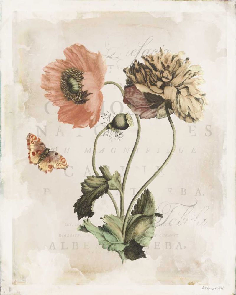 Antiquarian Blooms IV art print by Katie Pertiet for $57.95 CAD