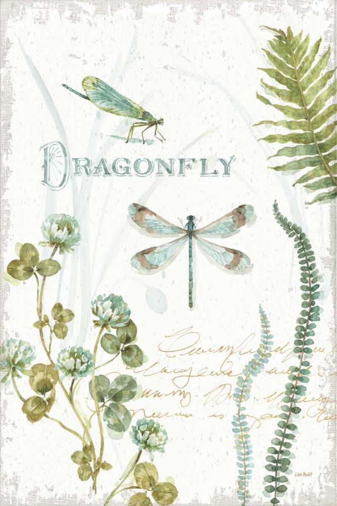 My Greenhouse Botanical Dragonfly art print by Lisa Audit for $57.95 CAD