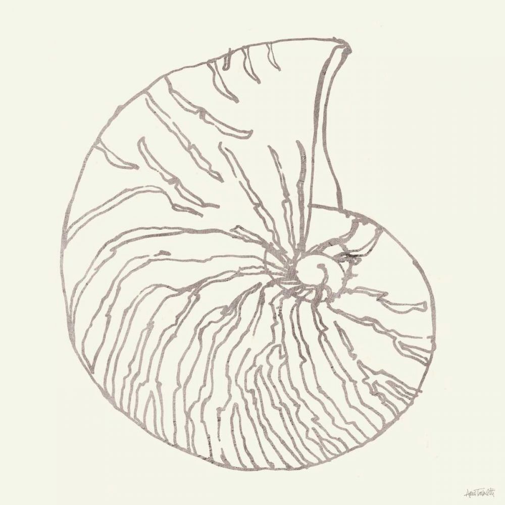 Coastal Breeze Shell Sketches VII Silver art print by Anne Tavoletti for $57.95 CAD