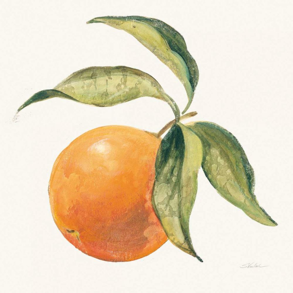 Le Orange on Cream art print by Silvia Vassileva for $57.95 CAD