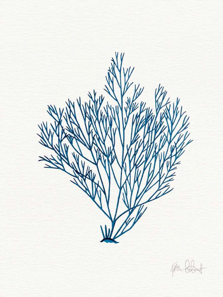 Sea Garden II Royal Blue art print by Katie Pertiet for $57.95 CAD