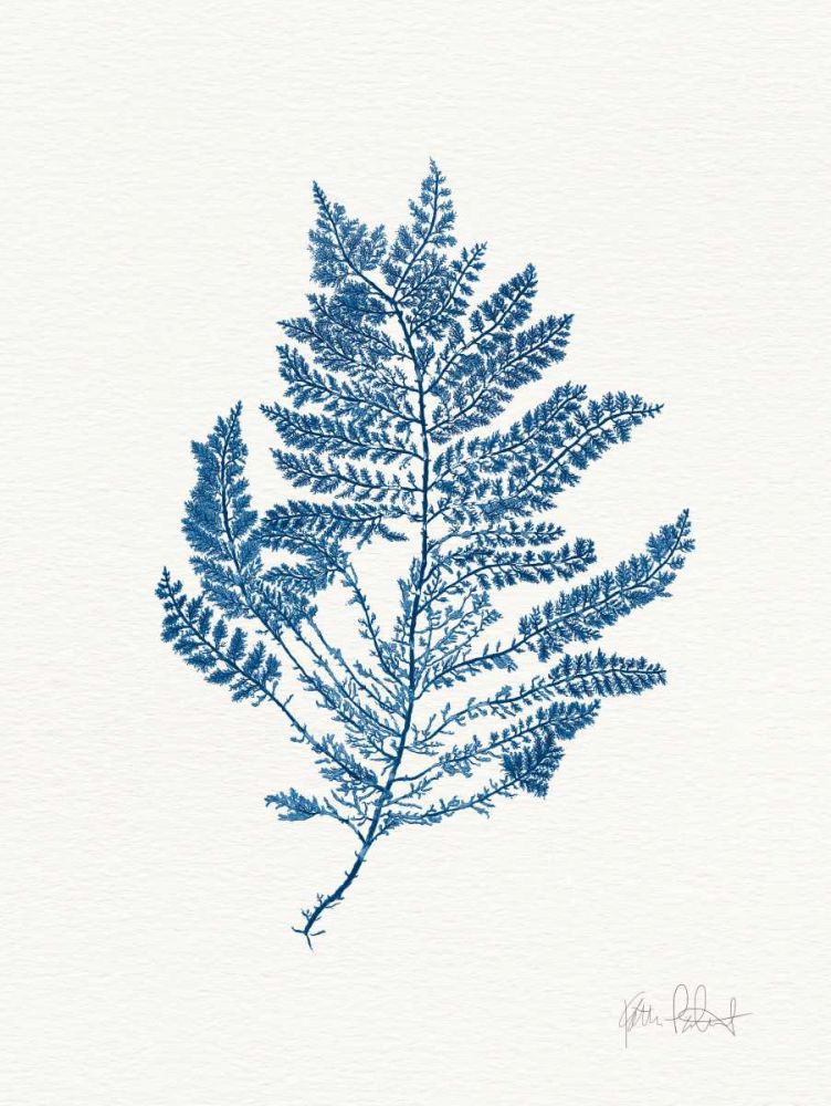Sea Garden III Royal Blue art print by Katie Pertiet for $57.95 CAD
