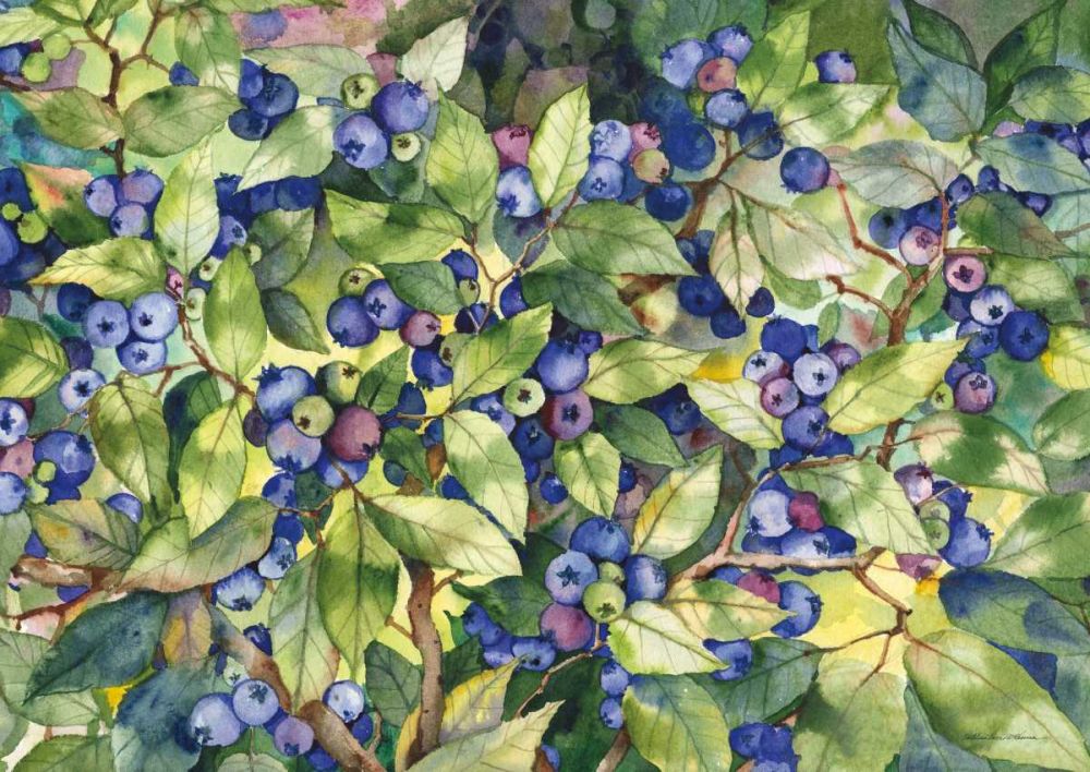 Blueberries art print by Kathleen Parr McKenna for $57.95 CAD