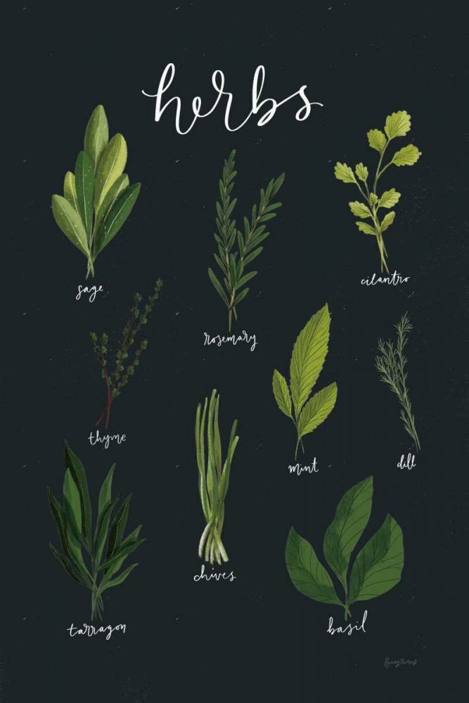 Herbs I Black art print by Becky Thorns for $57.95 CAD