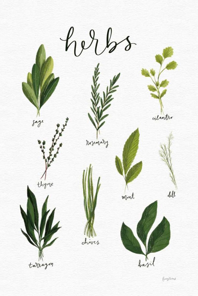 Herbs I White art print by Becky Thorns for $57.95 CAD