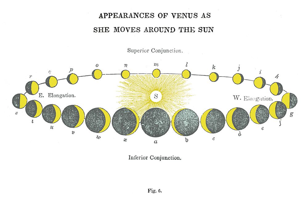 Solar Venus Chart Bright art print by Wild Apple Portfolio for $57.95 CAD