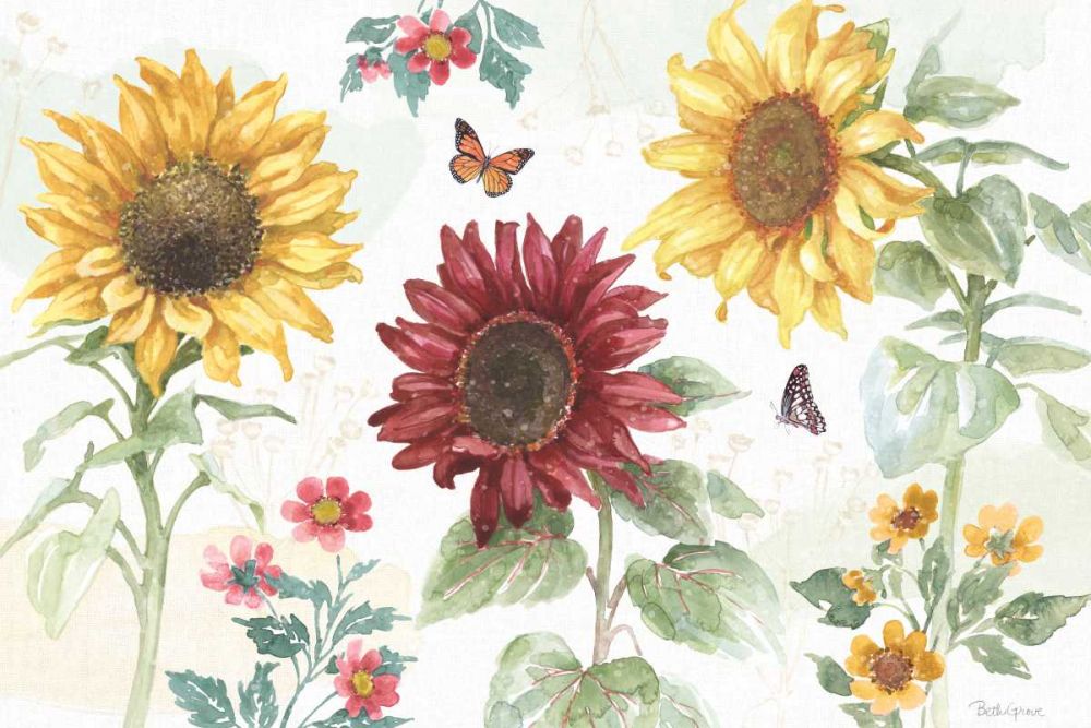 Sunflower Splendor IV art print by Beth Grove for $57.95 CAD