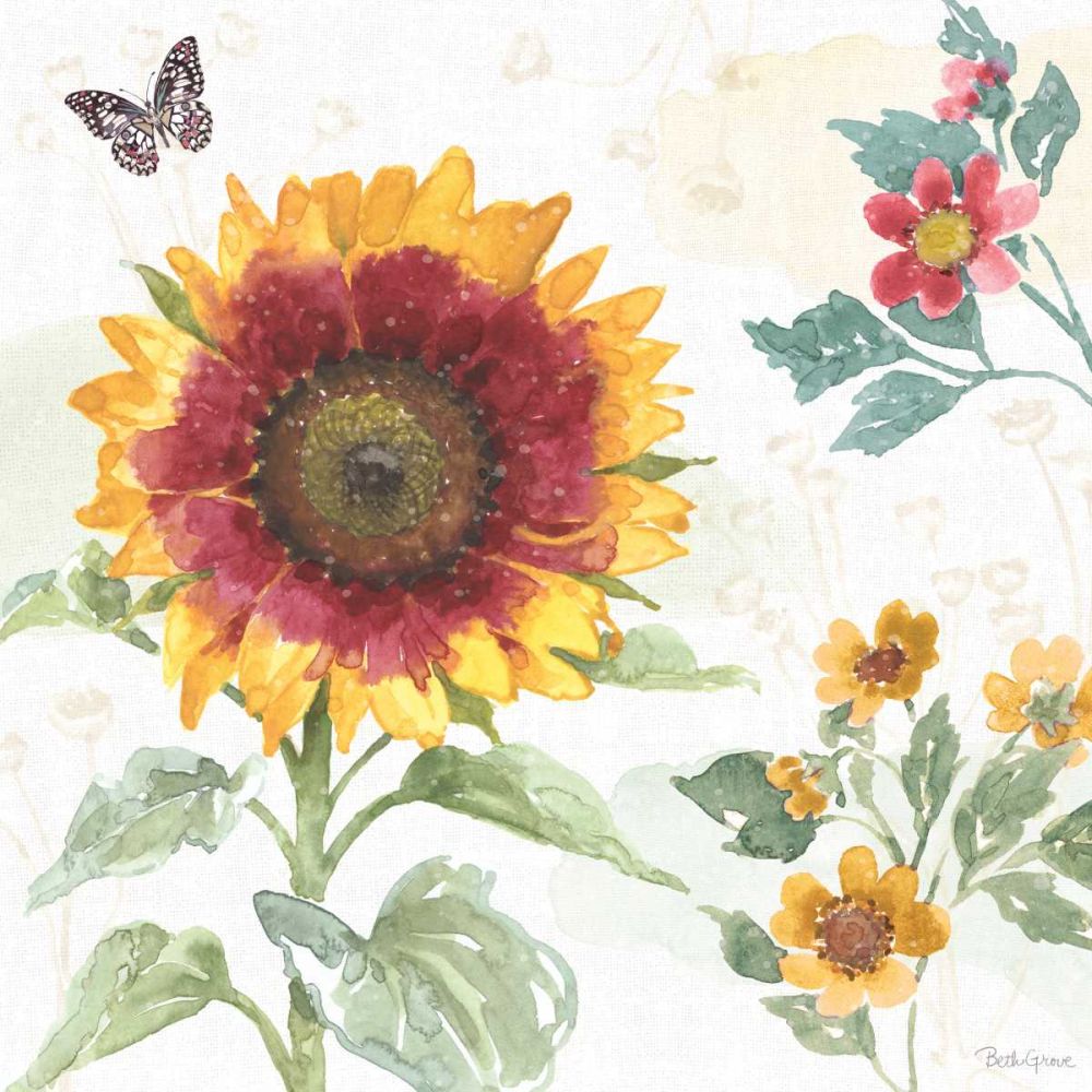 Sunflower Splendor VII art print by Beth Grove for $57.95 CAD