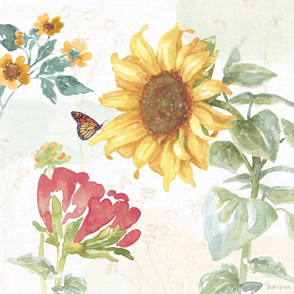 Sunflower Splendor VIII art print by Beth Grove for $57.95 CAD