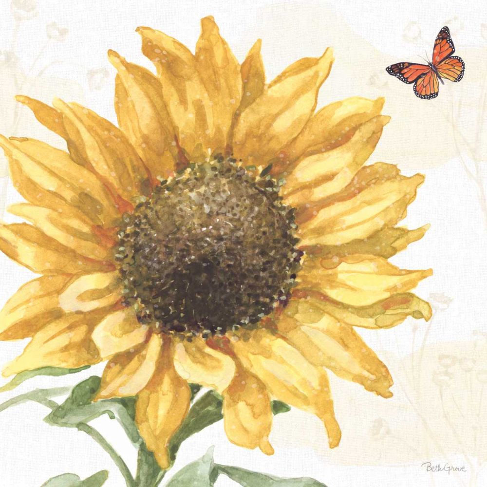 Sunflower Splendor IX art print by Beth Grove for $57.95 CAD