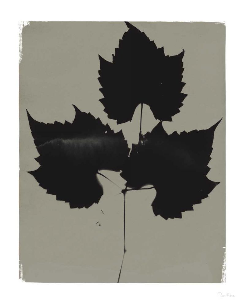 Nature by the Lake Leaves I Gray art print by Piper Rhue for $57.95 CAD