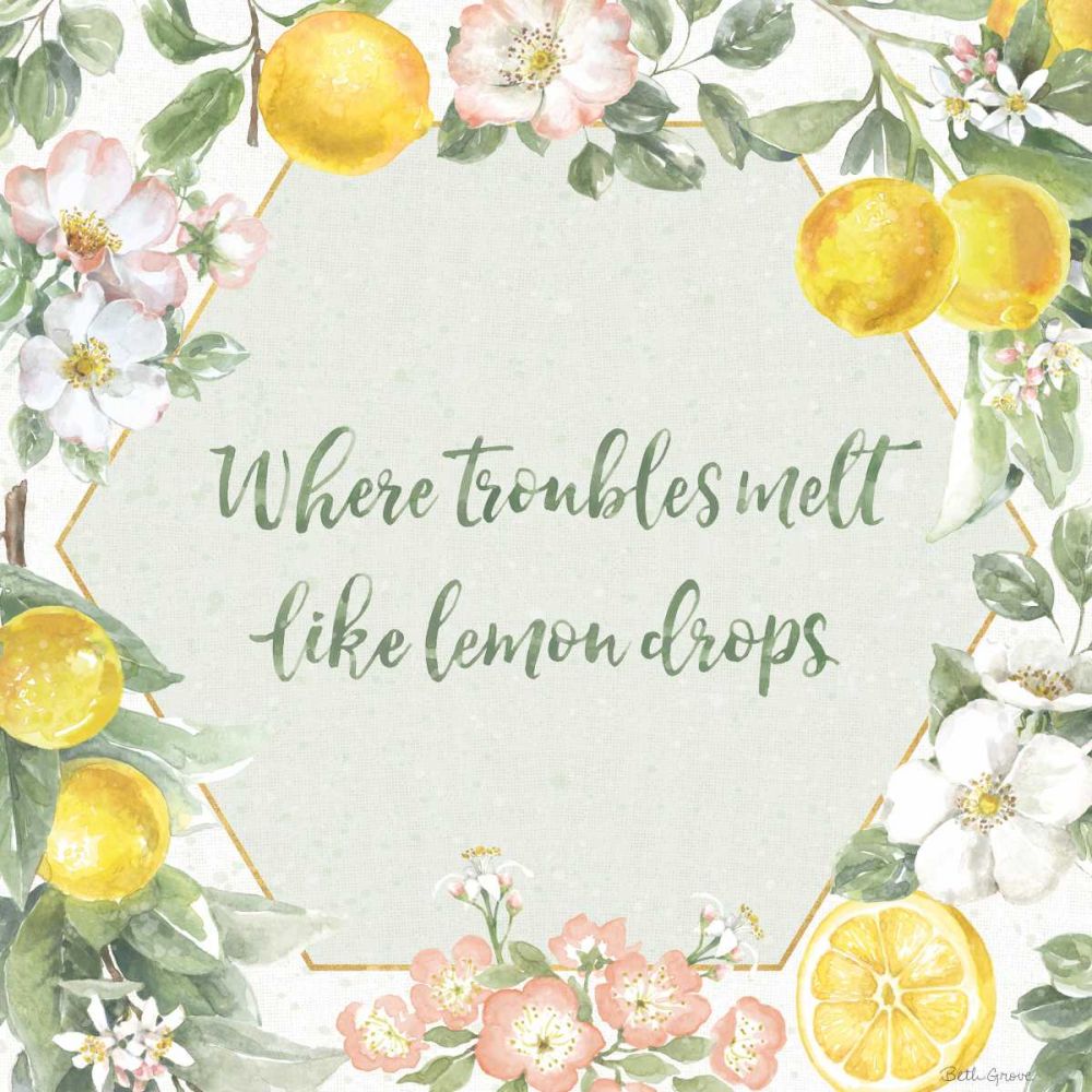 Citrus Charm III art print by Beth Grove for $57.95 CAD