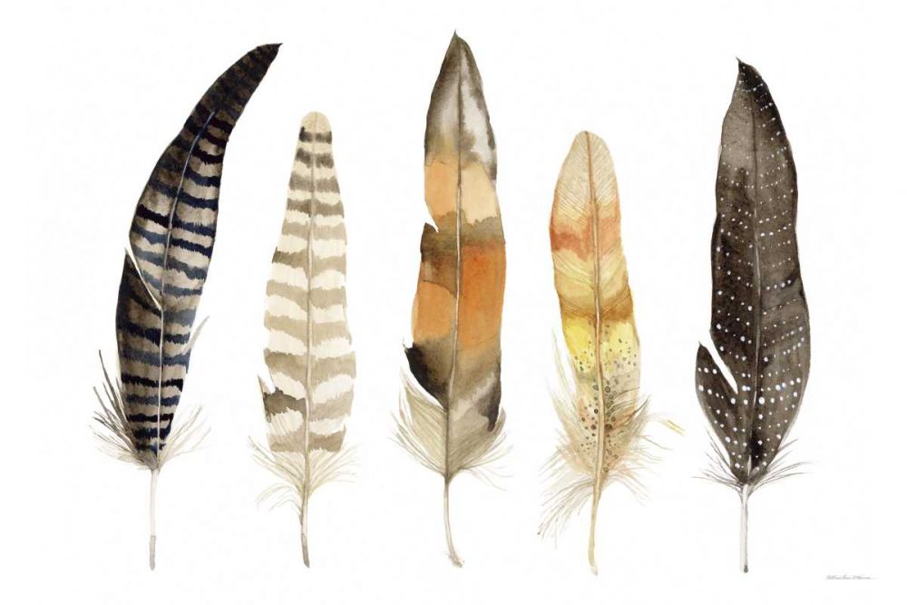 Natural Feathers art print by Kathleen Parr McKenna for $57.95 CAD