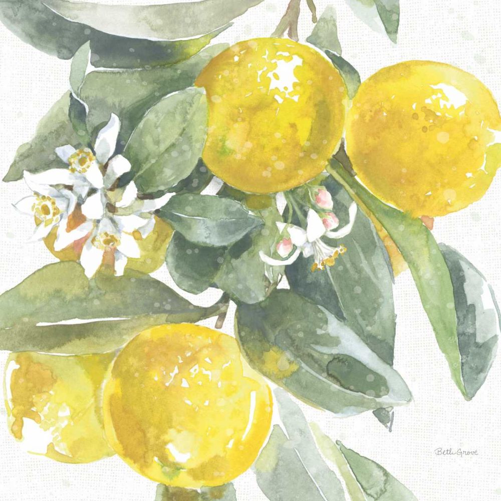 Citrus Charm Lemons I art print by Beth Grove for $57.95 CAD