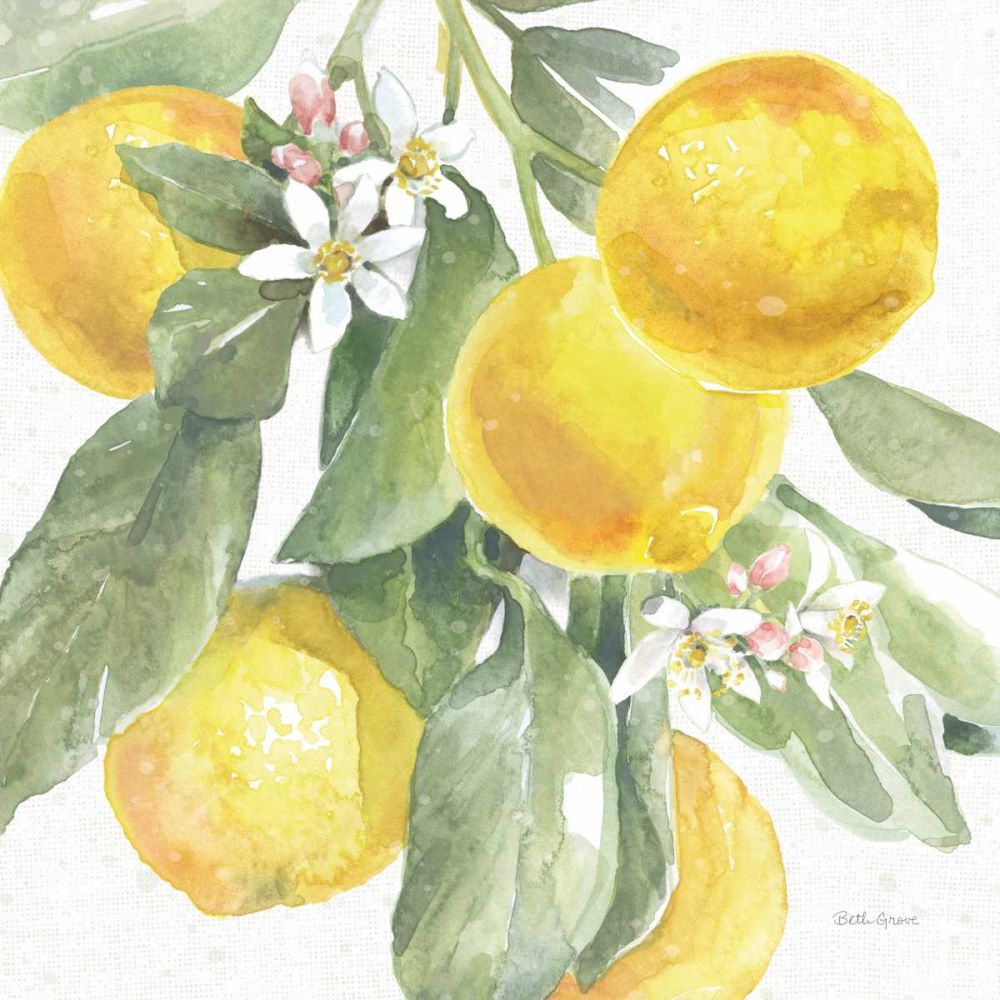 Citrus Charm Lemons II art print by Beth Grove for $57.95 CAD