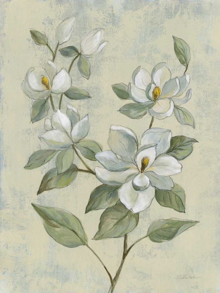 Sage Magnolia art print by Silvia Vassileva for $57.95 CAD