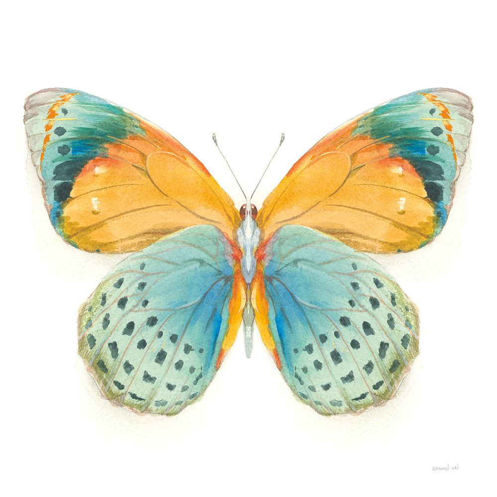 Fragile Wings Butterfly I art print by Danhui Nai for $57.95 CAD