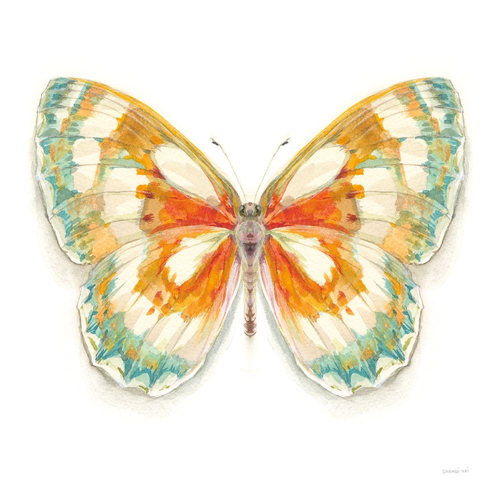 Fragile Wings Butterfly II art print by Danhui Nai for $57.95 CAD