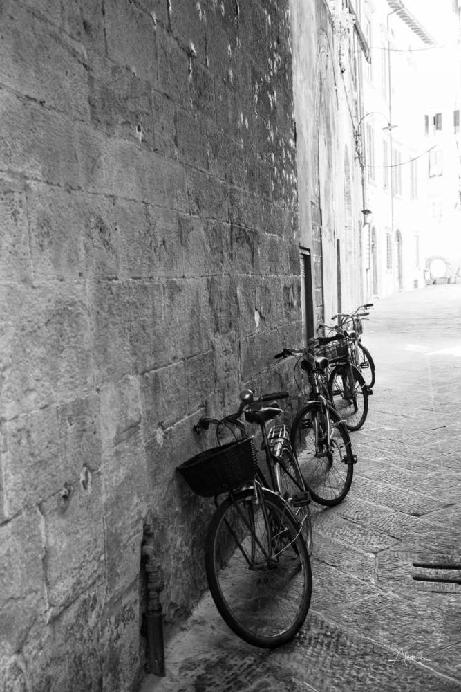 Bicycles in the Alley art print by Aledanda for $57.95 CAD