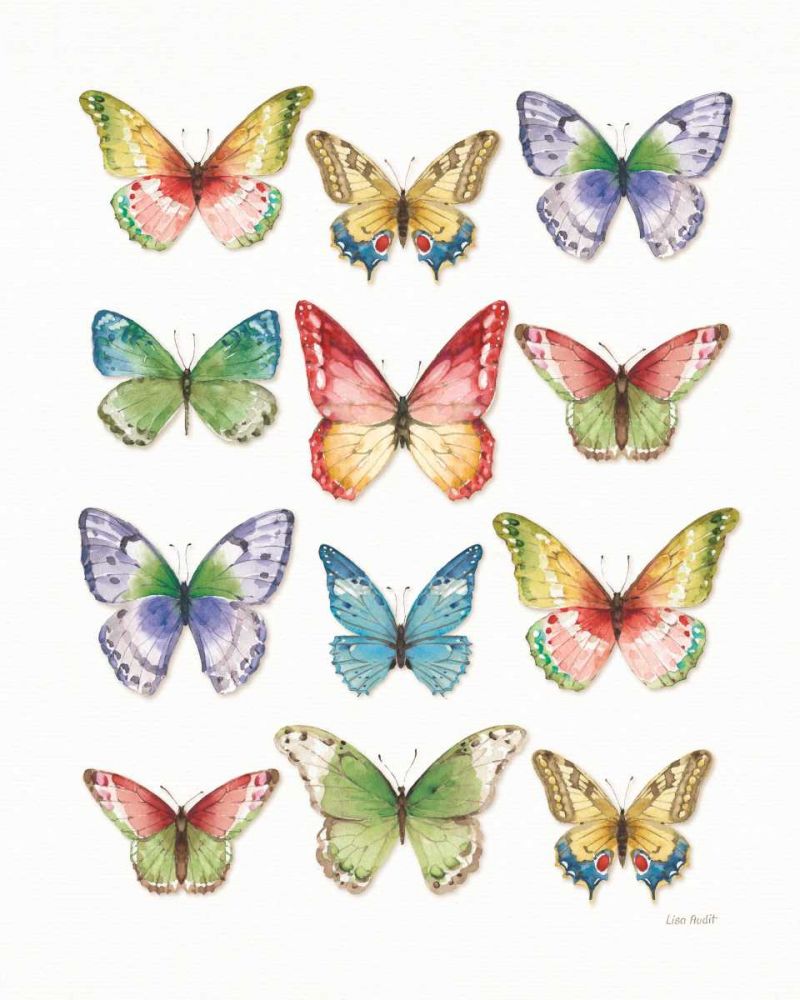 Colorful Breeze Butterflies art print by Lisa Audit for $57.95 CAD