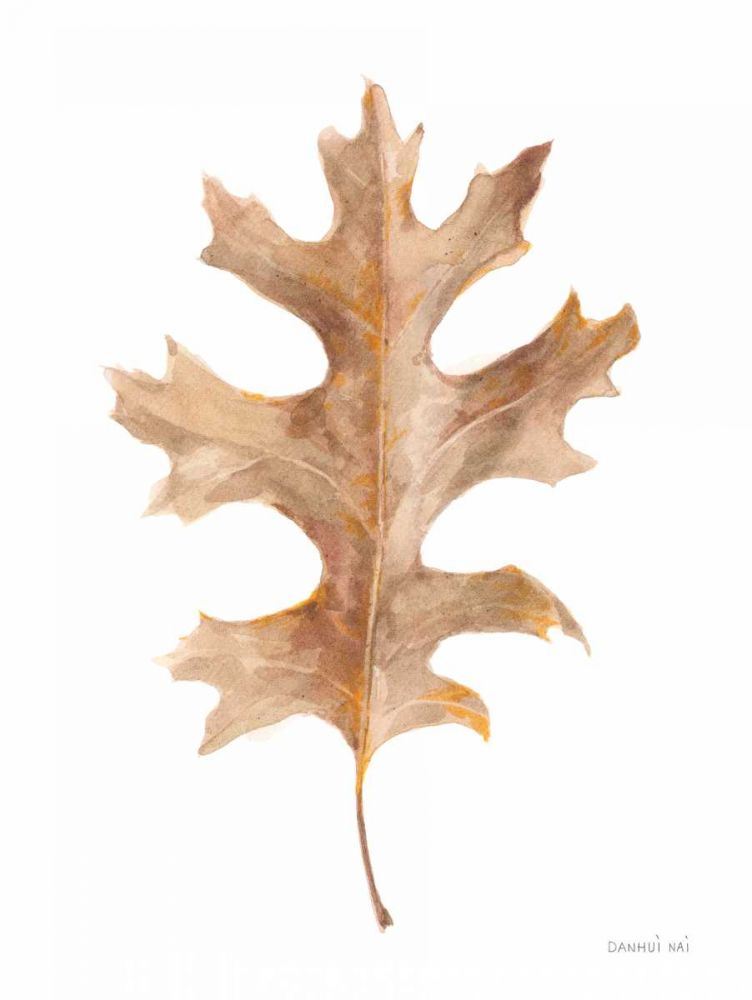 Fallen Leaf I art print by Danhui Nai for $57.95 CAD