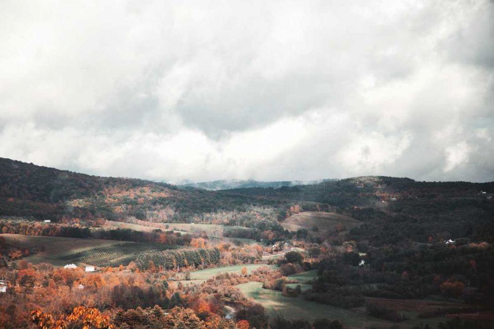 Autumn Hills II art print by Laura Marshall for $57.95 CAD