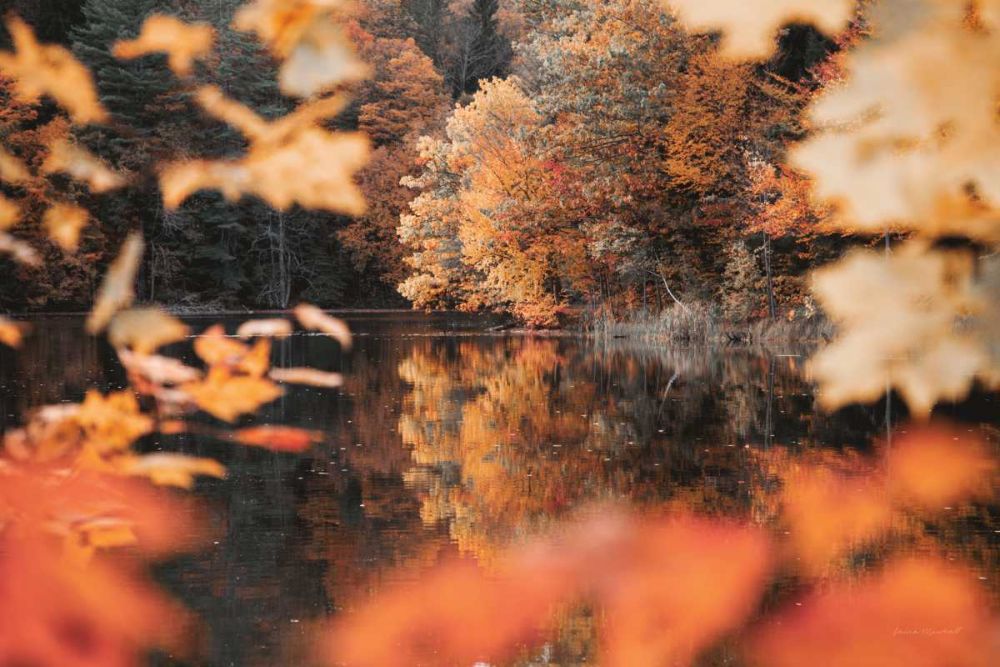 Autumn Reflections art print by Laura Marshall for $57.95 CAD
