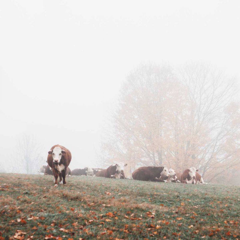 Misty Pasture art print by Laura Marshall for $57.95 CAD