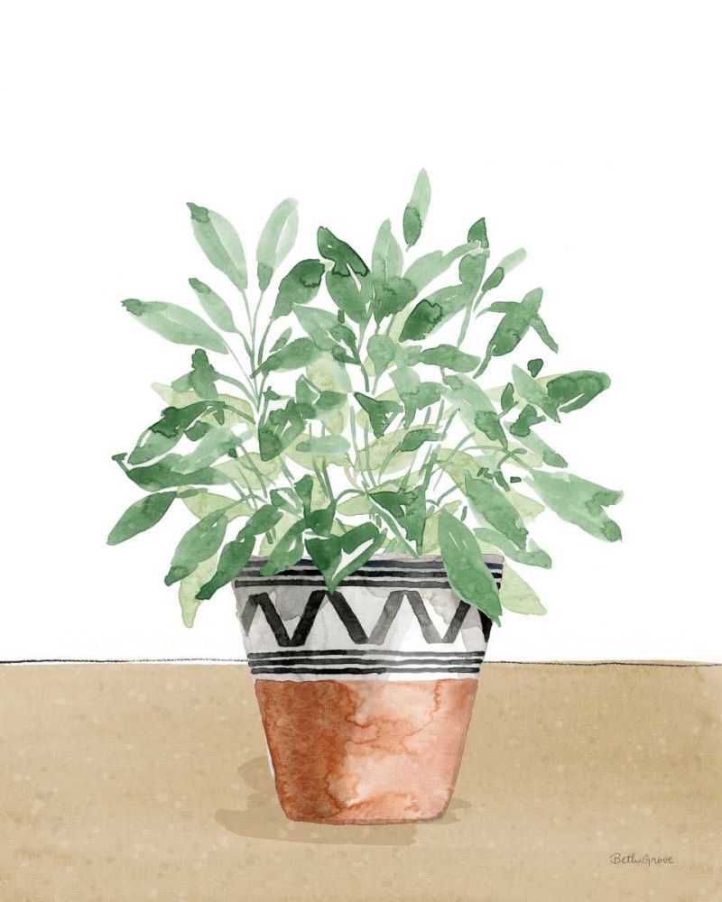 Herb Garden V White art print by Beth Grove for $57.95 CAD