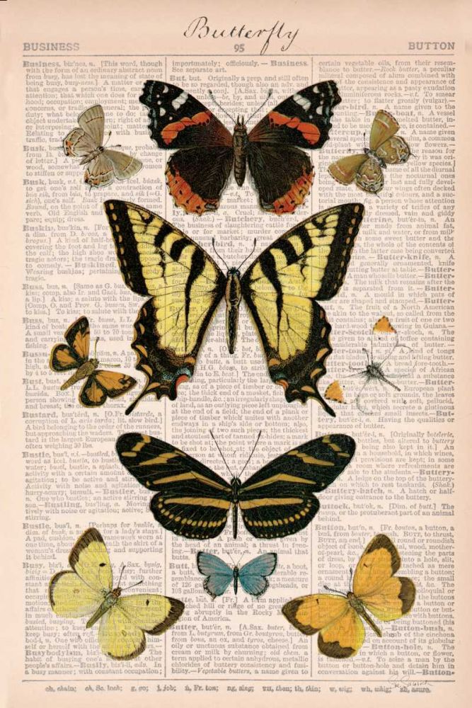 American Butterflies I art print by Sue Schlabach for $57.95 CAD