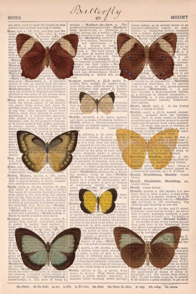 American Butterflies II art print by Sue Schlabach for $57.95 CAD