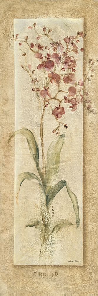 Orchid Panel art print by Cheri Blum for $57.95 CAD