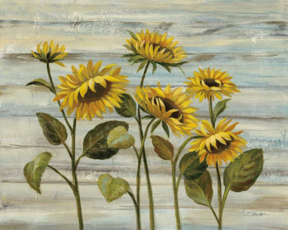 Cottage Sunflowers art print by Silvia Vassileva for $57.95 CAD
