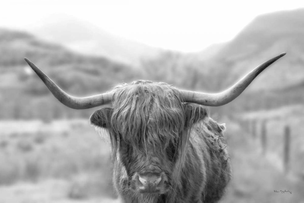 Scottish Highland Cattle III Neutral Crop art print by Alan Majchrowicz for $57.95 CAD
