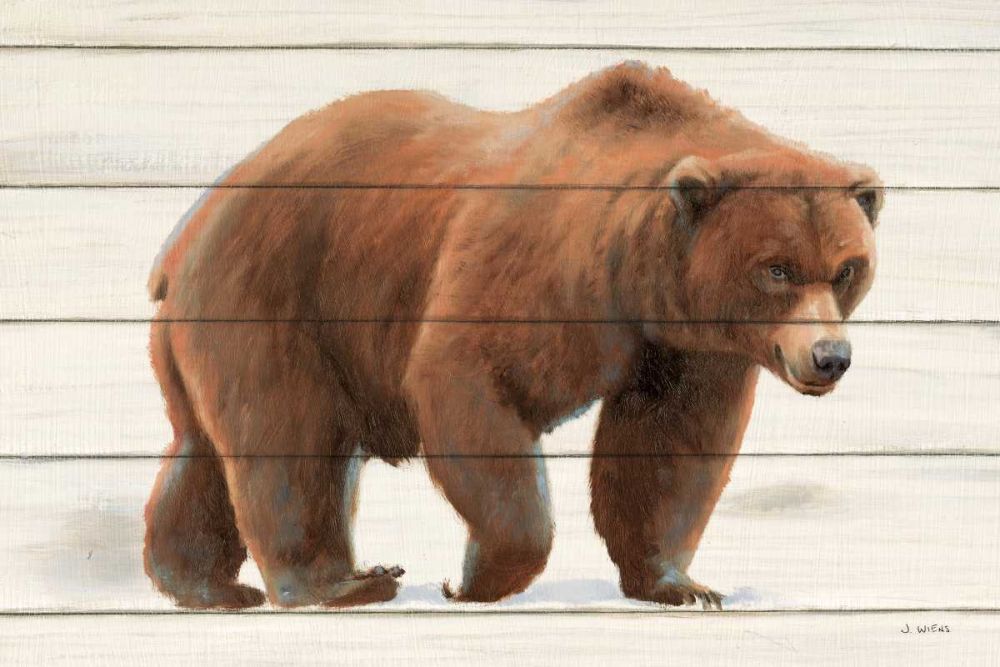 Northern Wild I on Wood art print by James Wiens for $57.95 CAD