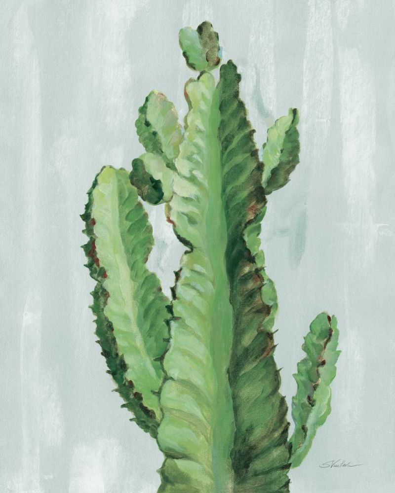Front Yard Cactus II Slate art print by Silvia Vassileva for $57.95 CAD