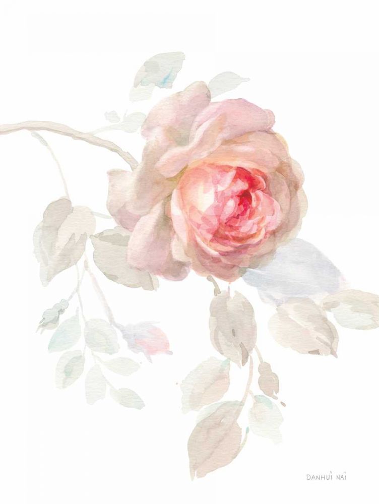 Gentle Rose I art print by Danhui Nai for $57.95 CAD
